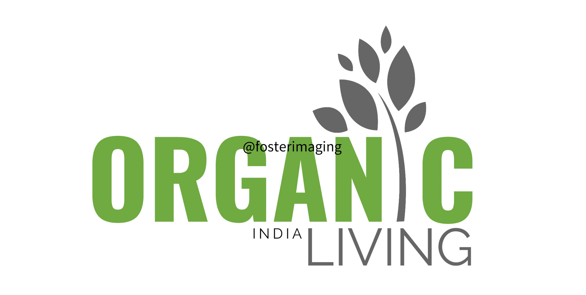 Organic Living India
